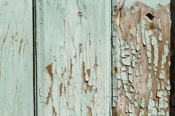 Old Wood texture Green backgrounds