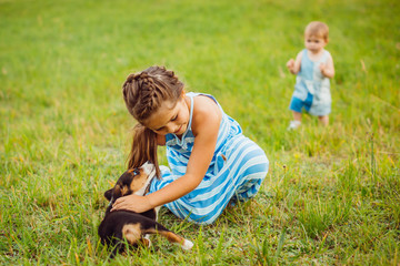 Naklejka na ściany i meble Girl hugs little puppy sitting on the field
