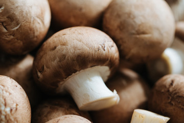 Macro shot of fresh champignons Portobello