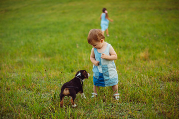 Two little girls run with a puppy on the field