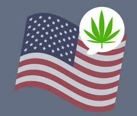 USA flag vector illustration