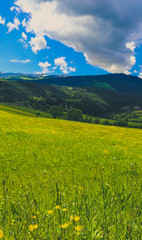 Photo depicting a beautiful colorful amazing mountain meadow paradise landscape, summertime. European alpine mountains bathed in sunshine on a blue sky background.