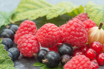 Raspberries, blueberries, gooseberries, leaves are macros