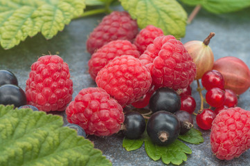 Raspberries, blueberries, gooseberries, leaves are macros
