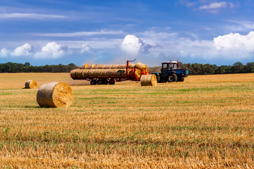 Fototapeta na wymiar Rural landscape with golden straw bales.