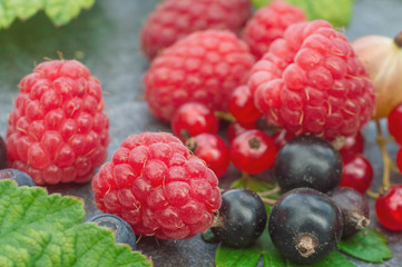 Raspberries, blueberries, gooseberries, leaves are macros