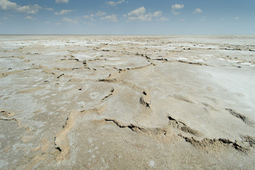 Desert on the Salt Lake
