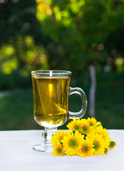 Summer tea in a sunny garden. Seasonal concept.