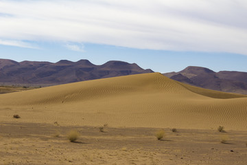 Fototapeta na wymiar Dune de sable et montagne Sahara au Maroc