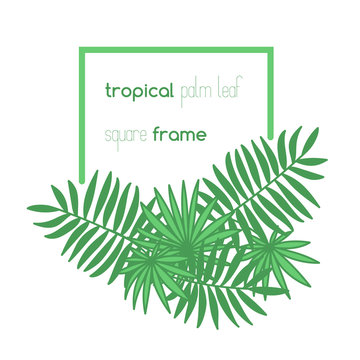 Square copyspace frame with palm leaves composition