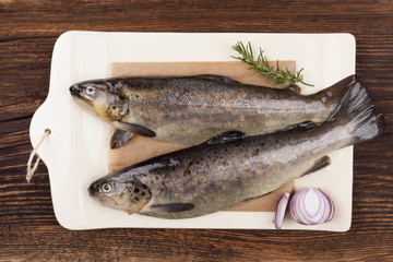 Fresh raw trout fish.