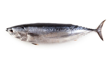 Raw tuna on white from above.