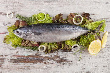 Fresh tuna fish on salad.