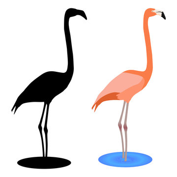 Flamingo. Black silhouette icon and pink drawing