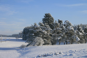 Winterlandschaft
