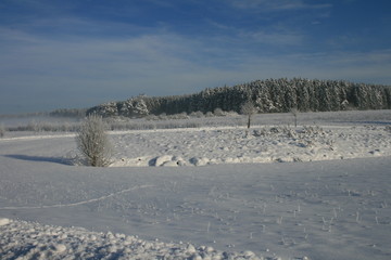 Winterlandschaft
