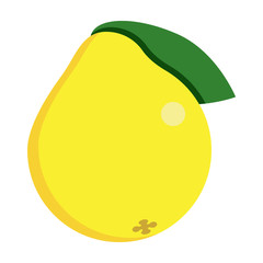 Quince fresh juicy exotic fruit icon, vector illustration flat style design isolated on white. Colorful graphics