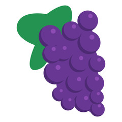 Grapes fresh juicy summer fruit icon, vector illustration flat style design isolated on white. Colorful graphics