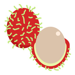 Rambutan fresh juicy exotic fruit icon, vector illustration flat style design isolated on white. Colorful graphics