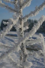 Eiszeit