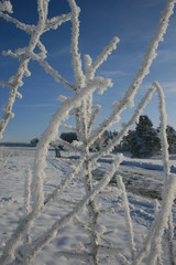 Eiszeit