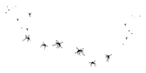 Fototapeta A flock of flying mosquitoes. Silhouette, graphic image. Vector, isolated on white background obraz