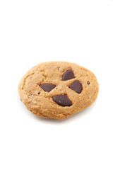 Cookie chocolate isolated in white background