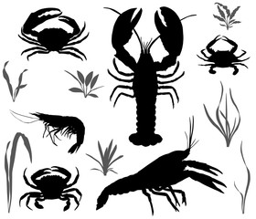 Silhouettes of four species of crustaceans: crayfish, lobster, crab and shrimp