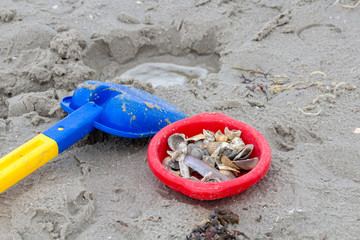 Sandspielzeug © OFC Pictures