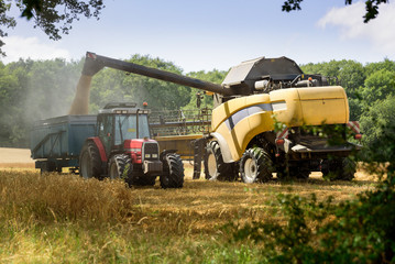 moissonneuse batteuse et tracteur pendant la récolte