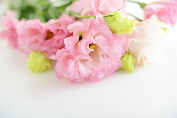 美しい花