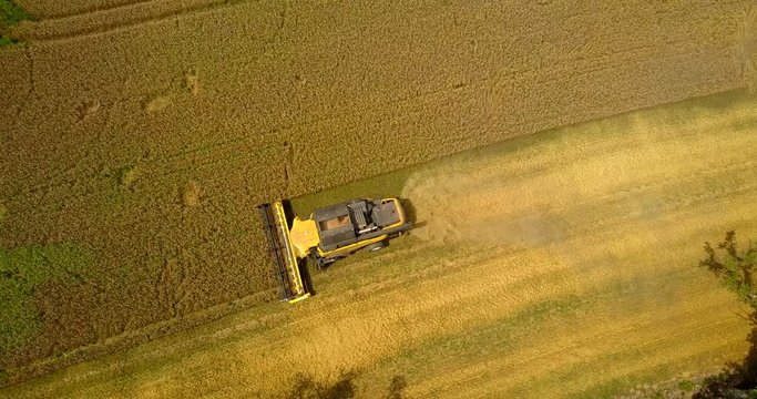 moissonneuse batteuse dans un champ de bl&eacute;