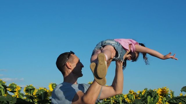 Circling the child. Dad is playing with his daughter on the field of sunflowers.