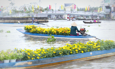 Obraz premium Soc Trang, Vietnam - January 21, 2017: Boats flower exchange trade on the river in the morning with the boat loaded with daisies which only sell flowers on Tet new floating market Soc Trang, Vietnam