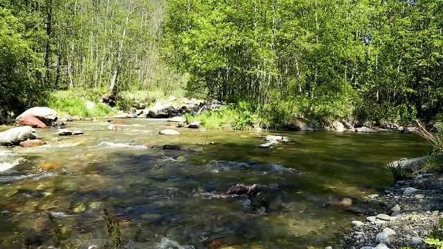 Fiume di montagna