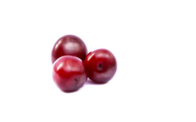 Summer plum