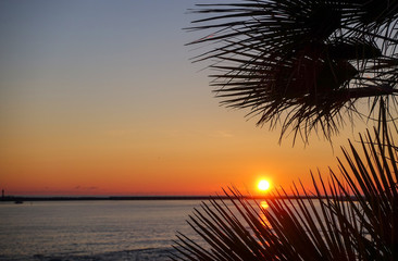 Sunset at the sea through palm trees