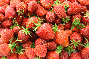 fresh red Strawberries in full frame background