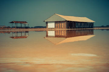 Saline and the farm