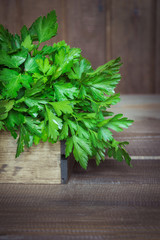 Fresh green parsley in wooden box on the old wooden table, selective focus.