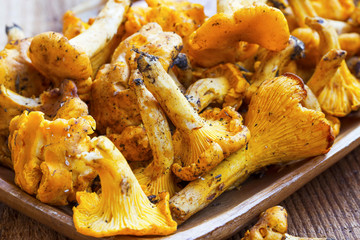 Chanterelle mushrooms freshly picked , edible yellow mushrooms © marrakeshh