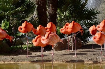 Pink Flamingo - 166321450