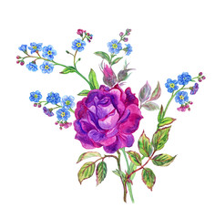 Bouquet of purple roses and forget-me-nots, watercolor drawing on white background, isolated with clipping path.