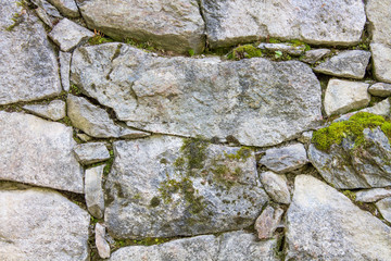Mossy stone bricks white texture background