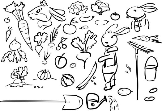 Set doodle rural - vegetables and fun rabbits