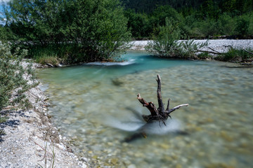 Das Schwemmholz wird von der Isar umspühlt