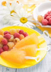 Fruit ice cream yellow raspberry with mixed berries raspberries on a plate on the background of large daisies. Close-up.