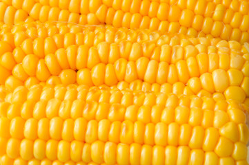Fresh delicious yellow corn