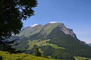 Fototapeta na wymiar Kanisfluh (2044m), Vorarlberg