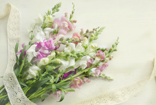 Antirrinum on a white wooden background. Vintage cotton lace in a bocho style